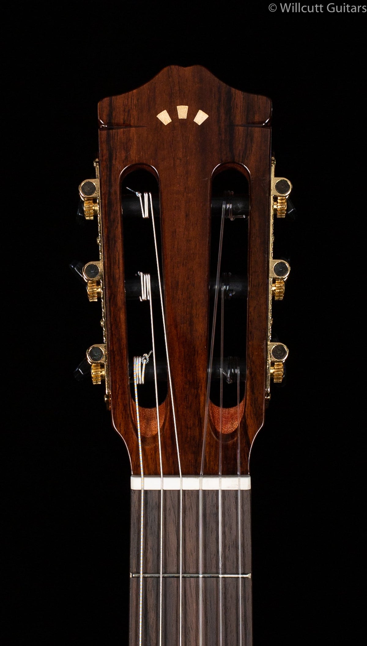 Cordoba GK Studio Ltd. Spruce/Zircote