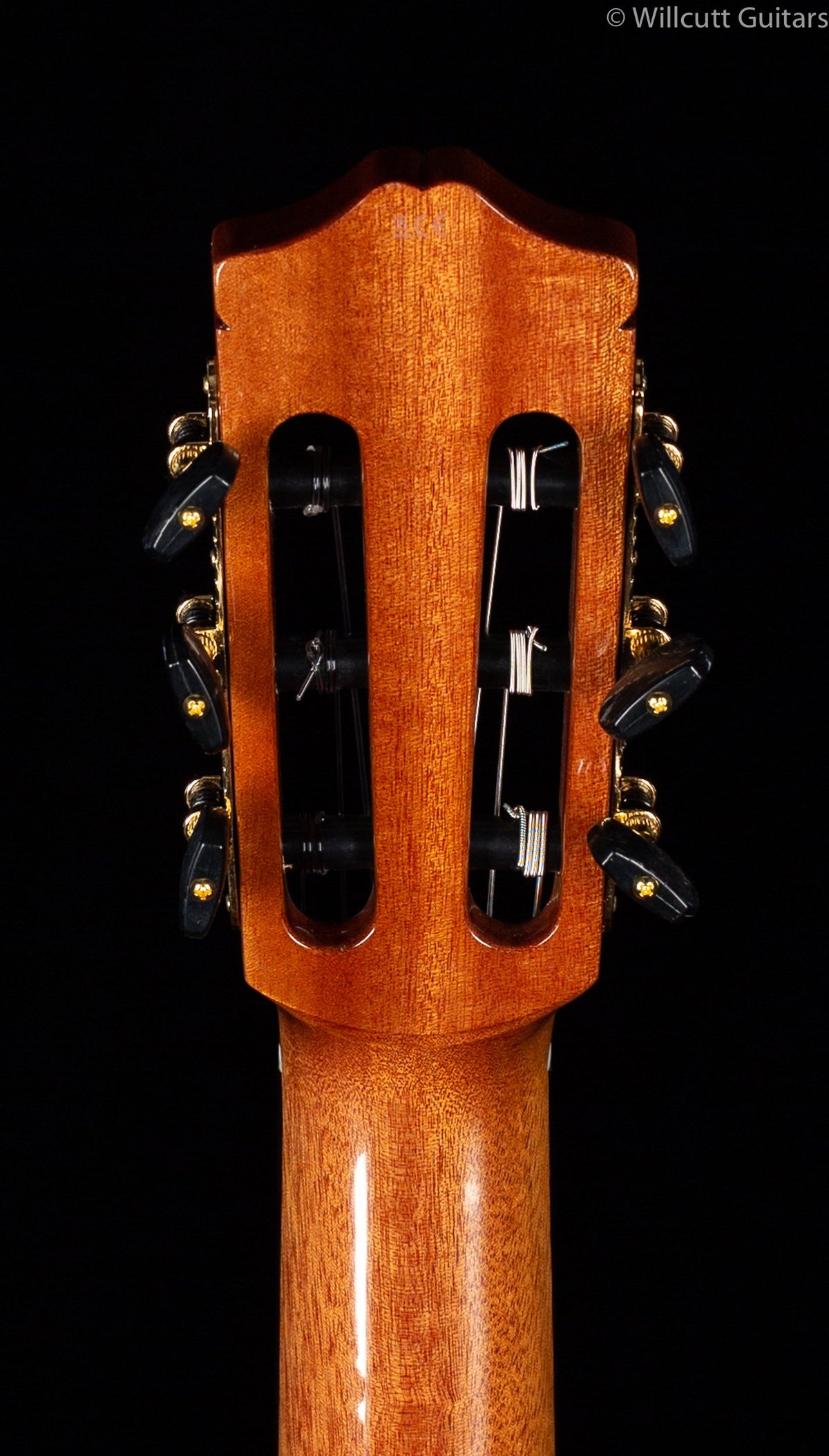 Cordoba GK Studio Ltd. Spruce/Zircote