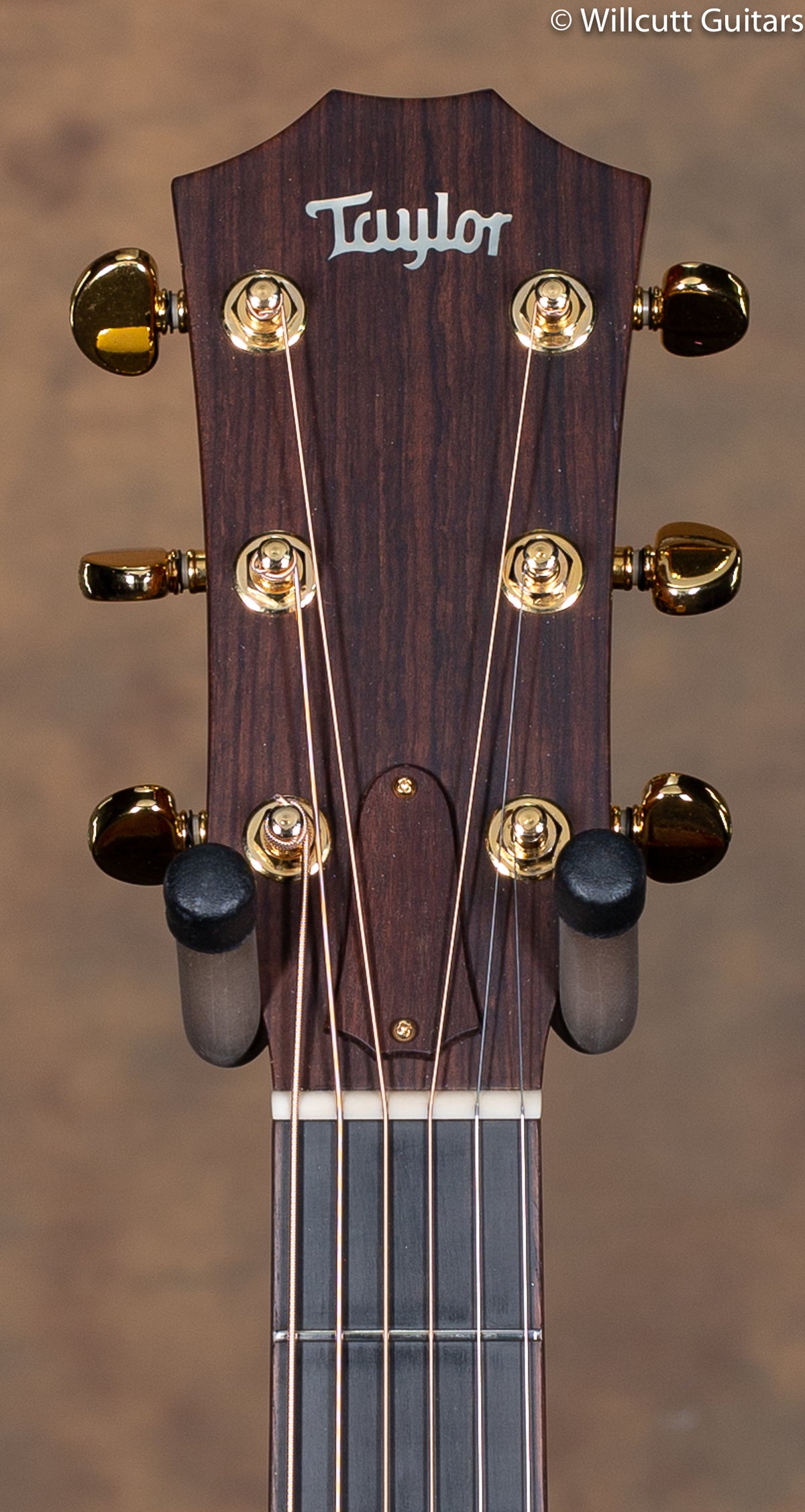 1994 Taylor XX-MC 20th Anniversary Limited Edition USED