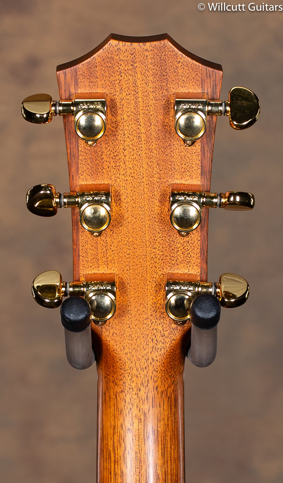 1994 Taylor XX-MC 20th Anniversary Limited Edition USED