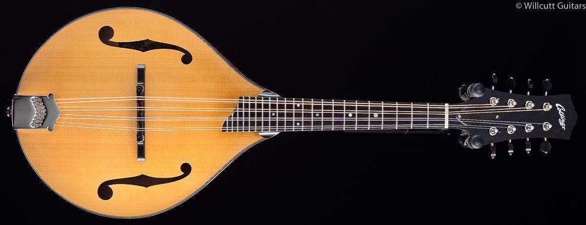 collings-mt-gloss-top-759