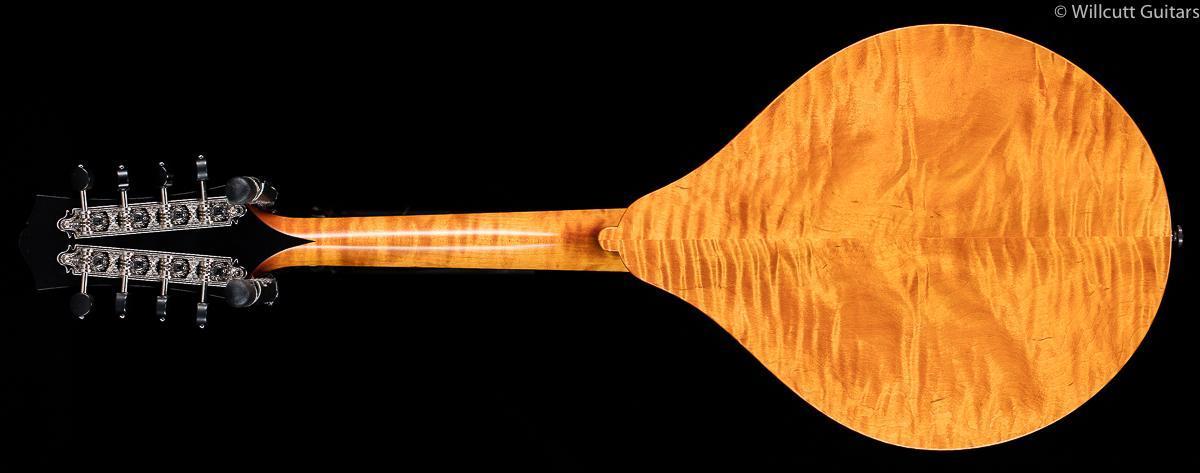 collings-mt-gloss-top-759