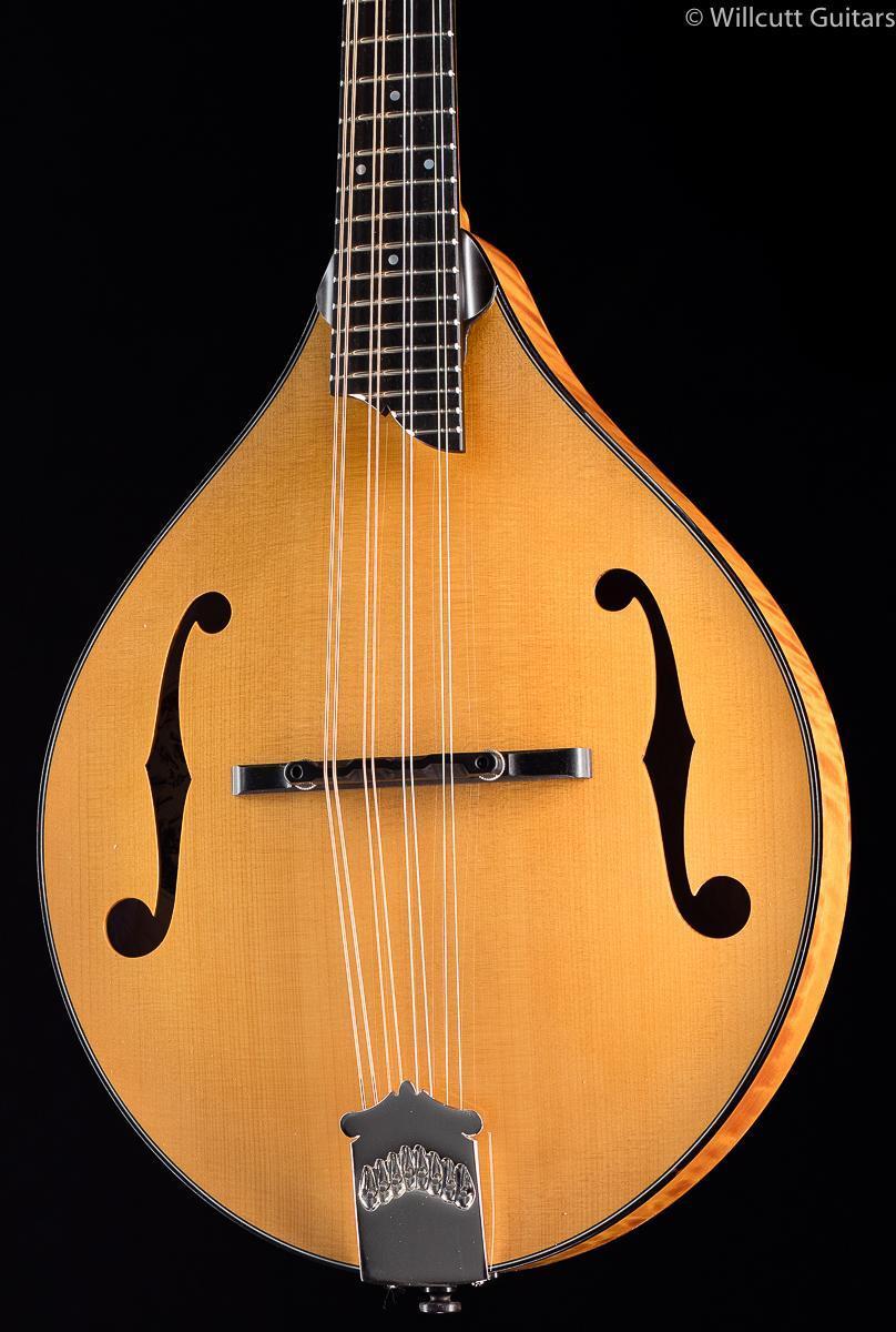 collings-mt-gloss-top-759