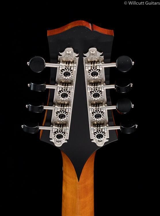 collings-mt-gloss-top-759