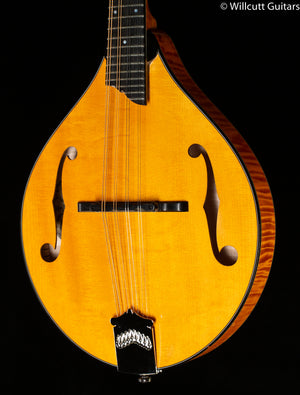 Collings MT2 A Style Mandolin (522)