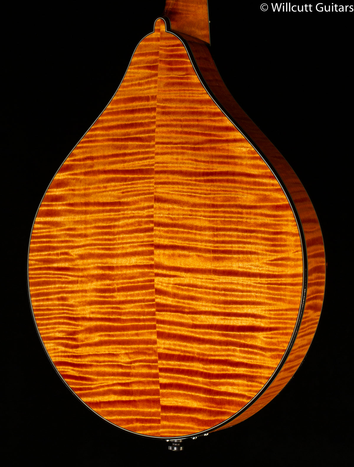 Collings MT2 A Style Mandolin (522)