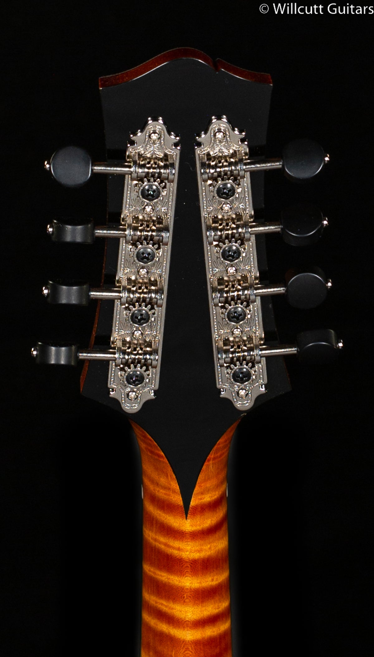 Collings MT2 A Style Mandolin (522)