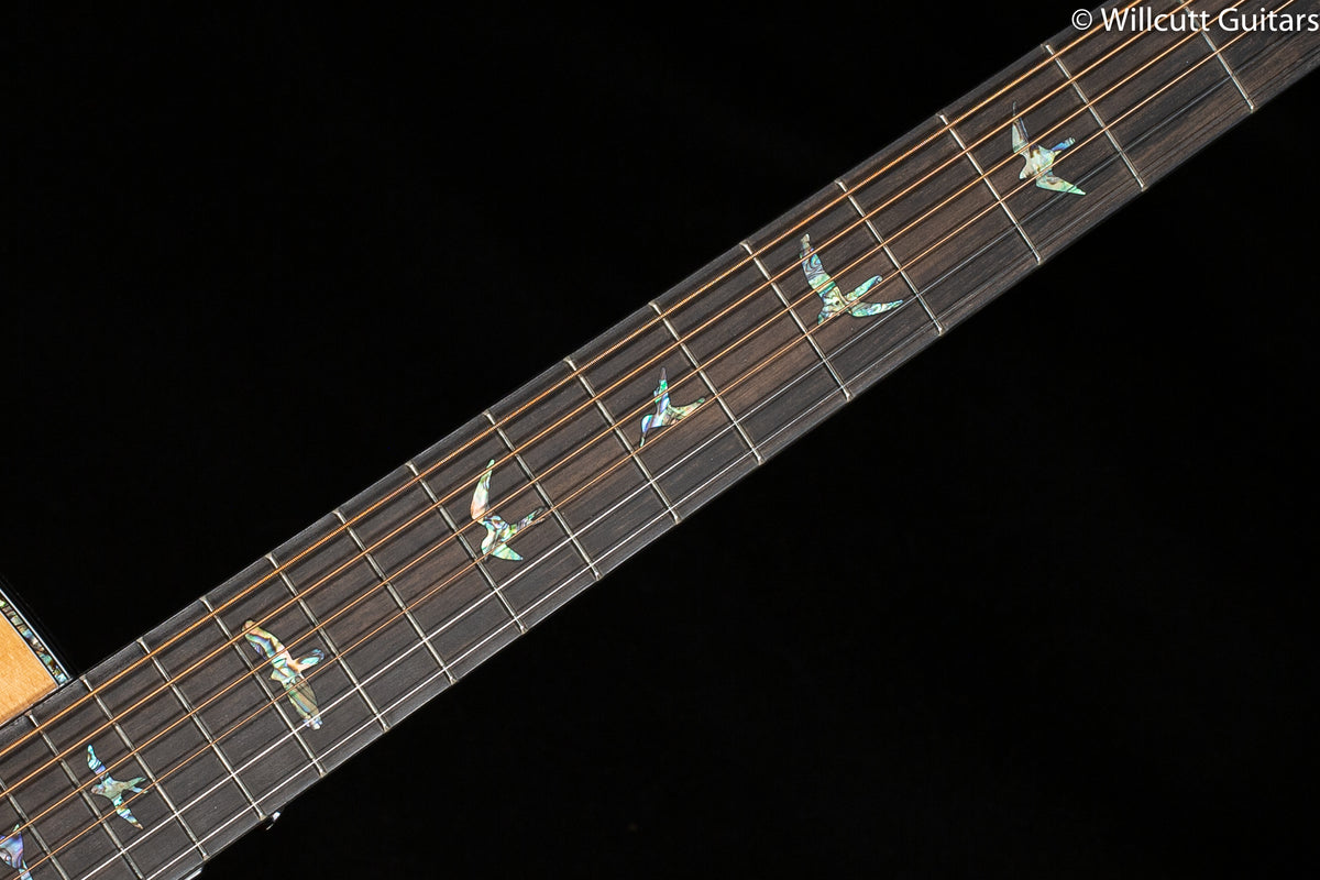 PRS SE AE50E Acoustic Black Gold (320)