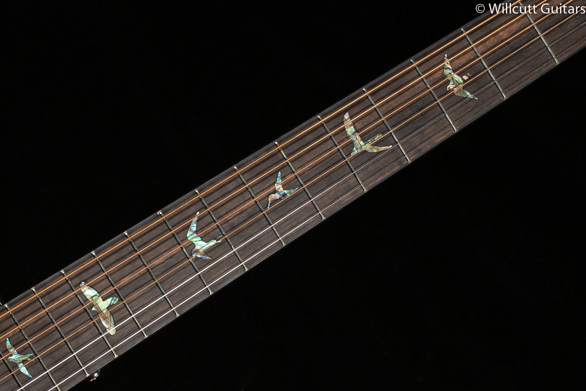 PRS SE P50e Black Gold Parlor Sitka Spruce Top (264)