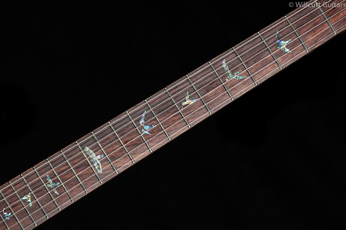 PRS SE Custom 24 35th Anniversary Black Gold