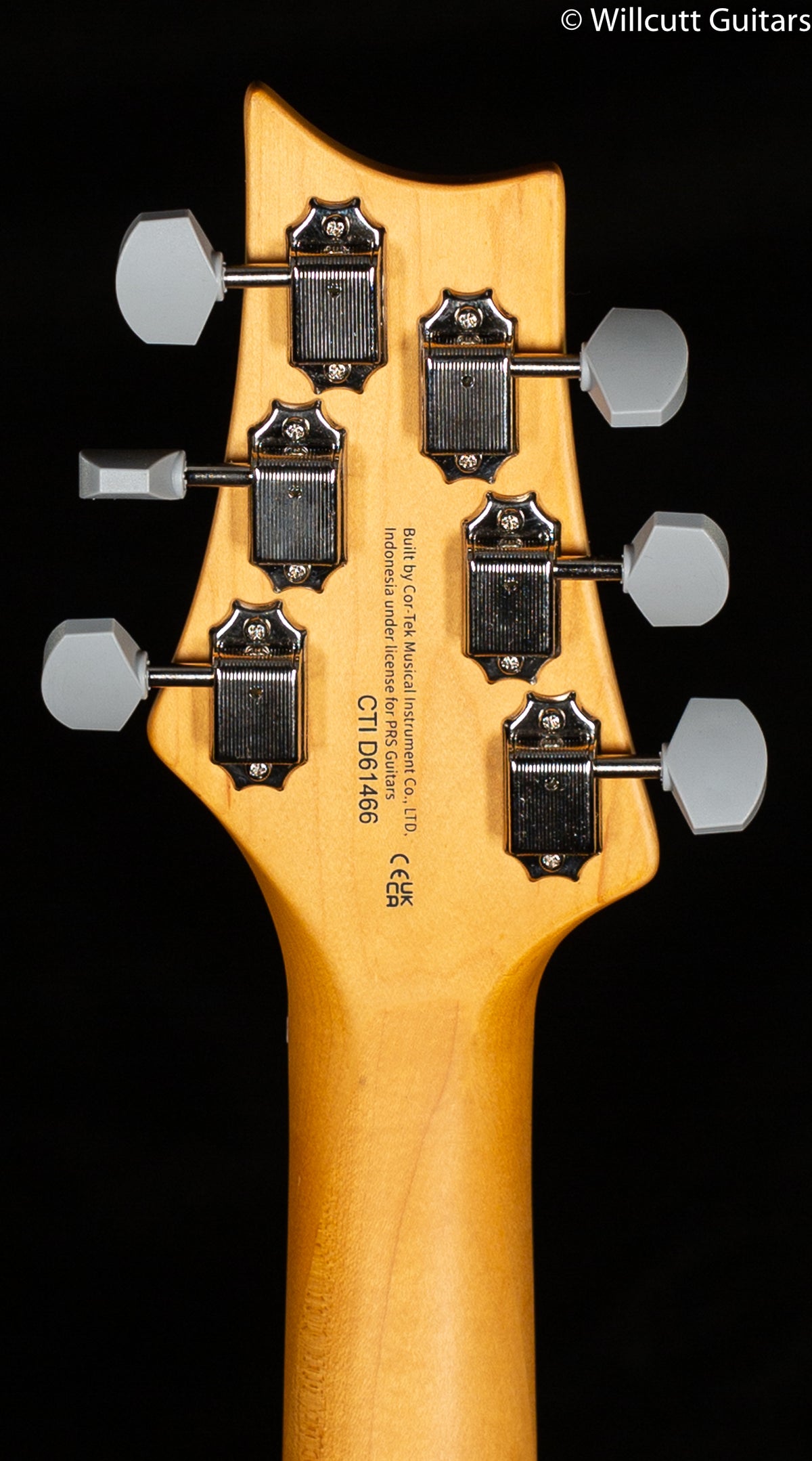 PRS SE Silver Sky Maple Neck Dragon Fruit (466)