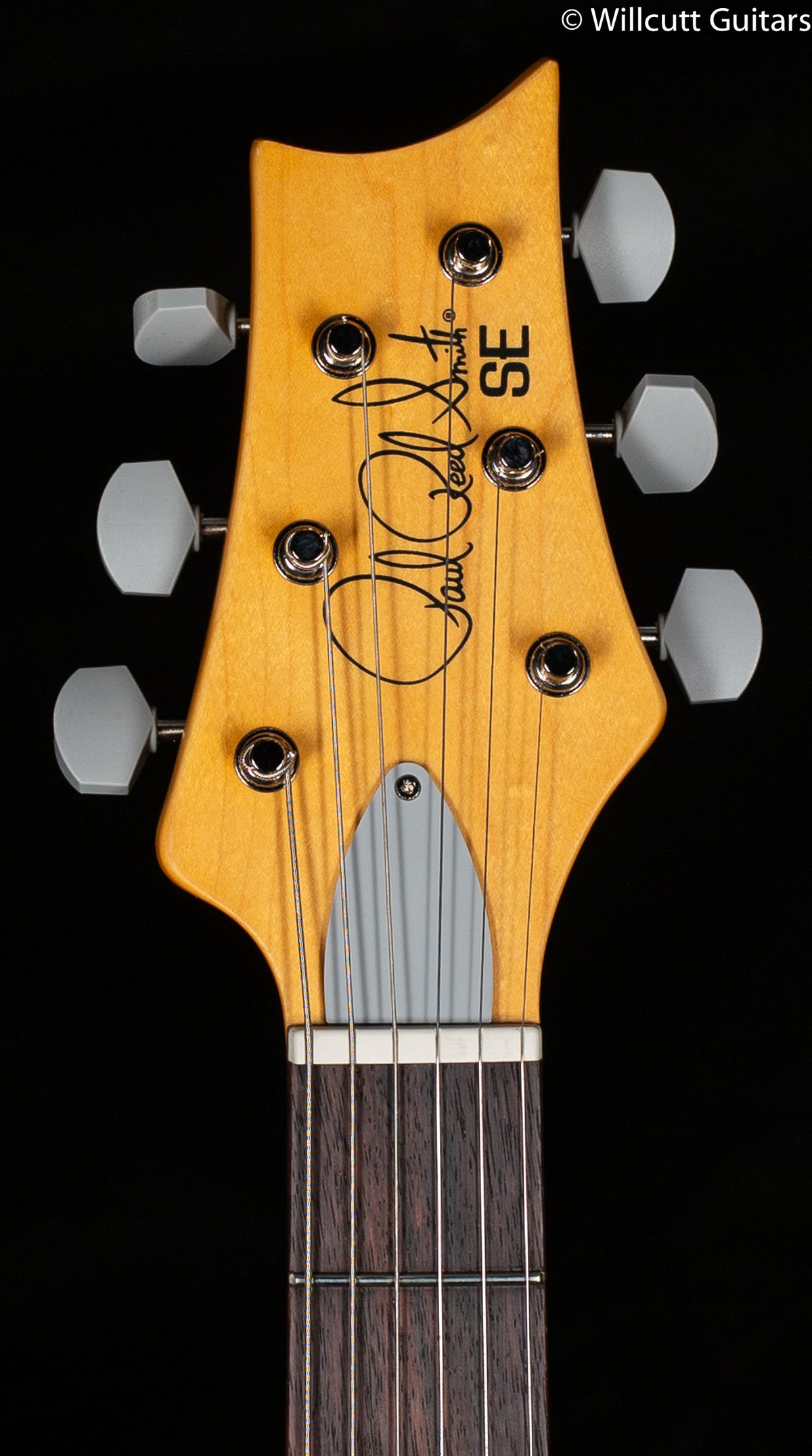 2022 PRS SE Silver Sky Ever Green (046)