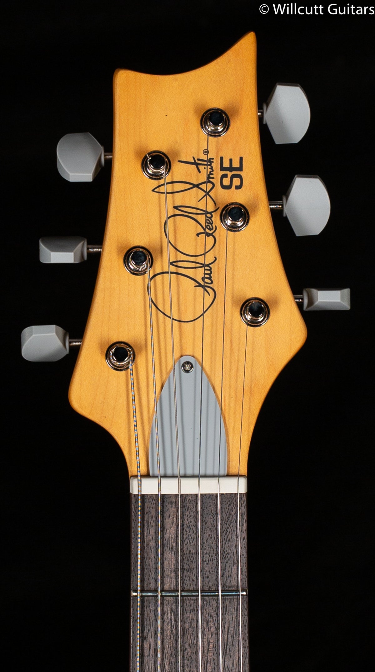 2022 PRS SE Silver Sky Ever Green (171)