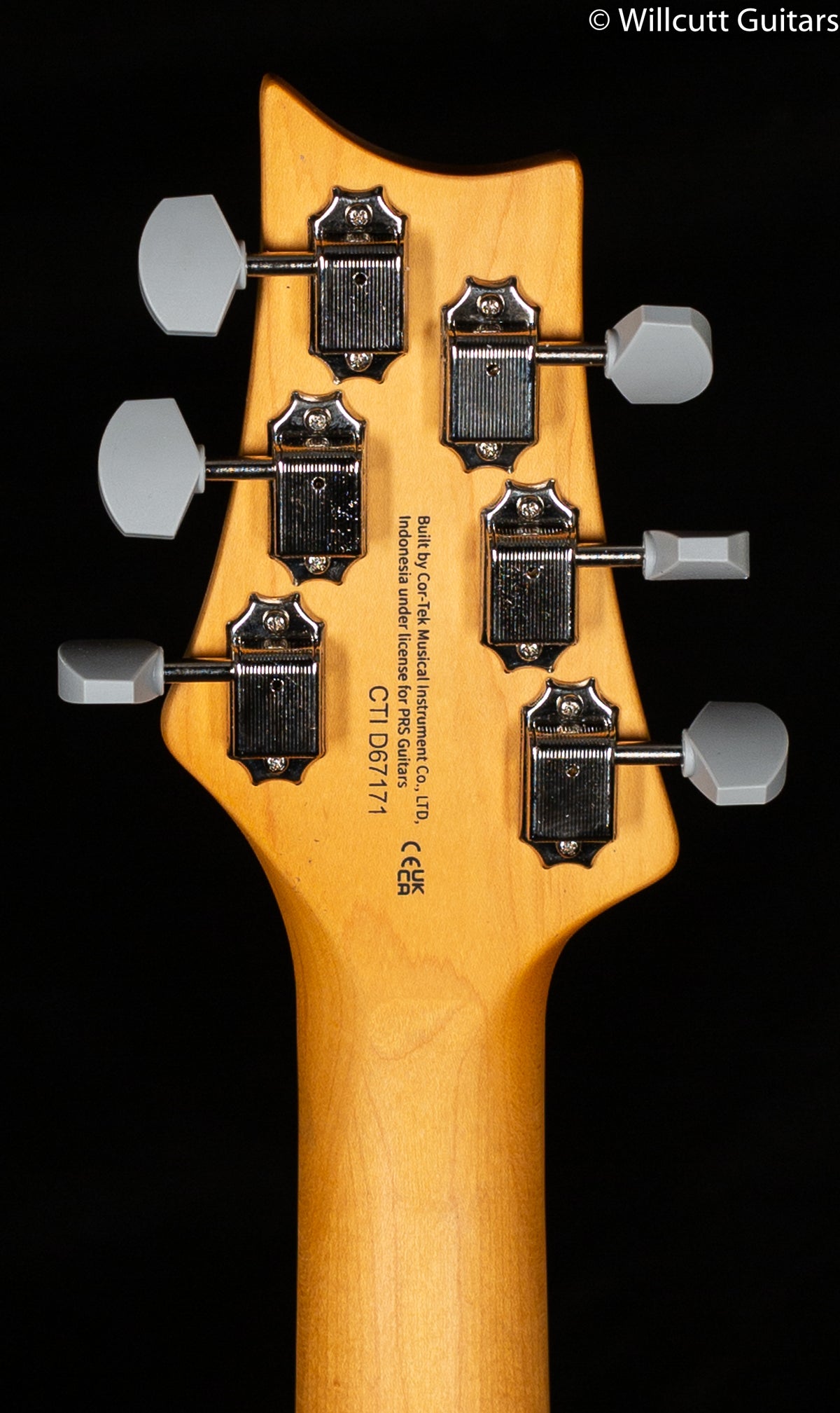 2022 PRS SE Silver Sky Ever Green (171)