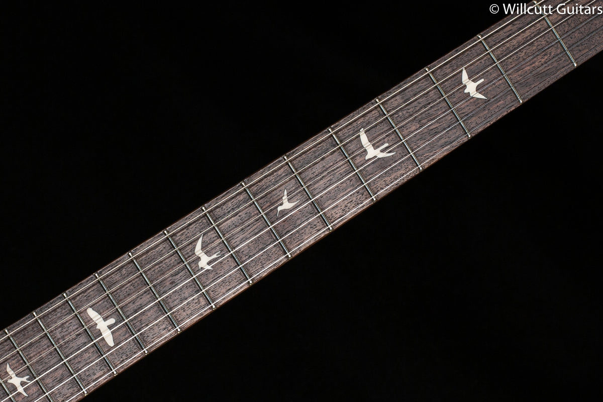 2022 PRS SE Silver Sky Ever Green (171)