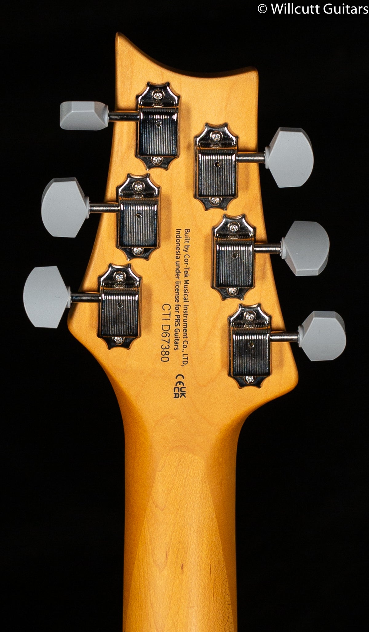 PRS SE Silver Sky Ever Green (380)