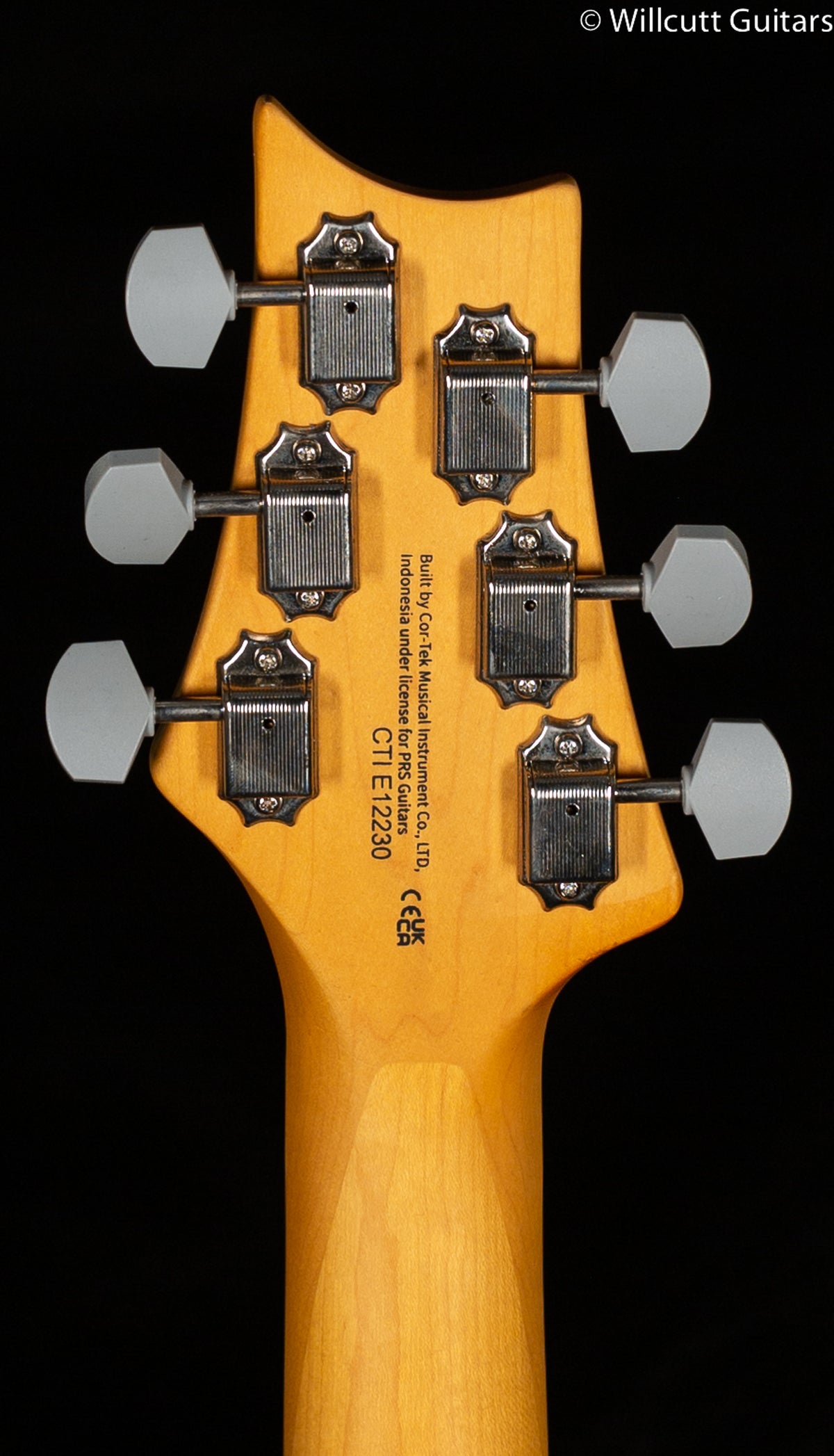 2022 PRS SE Silver Sky Dragon Fruit (230)