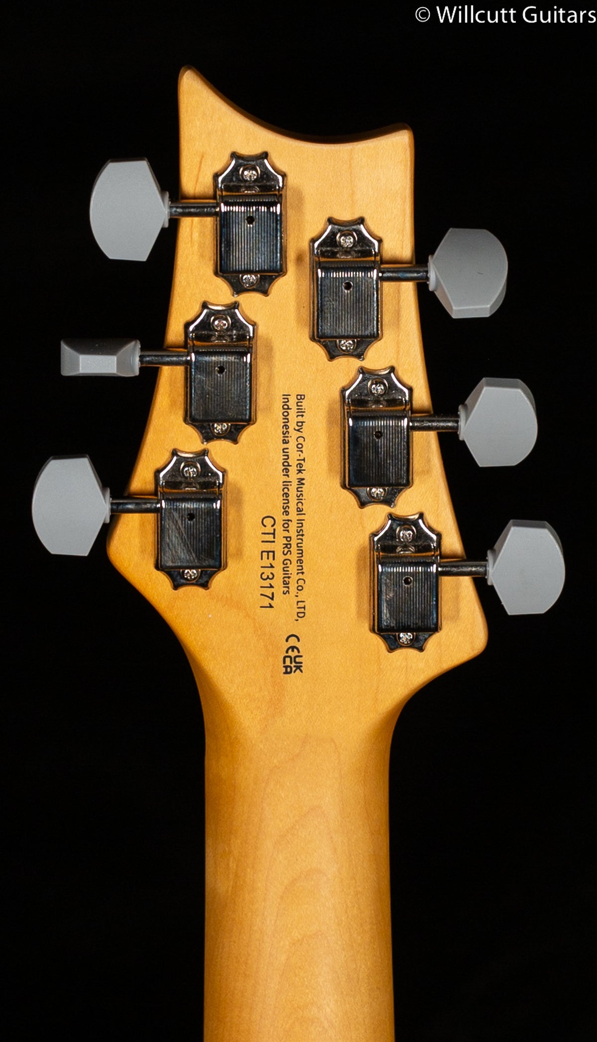 2022 PRS SE Silver Sky Dragon Fruit (171)