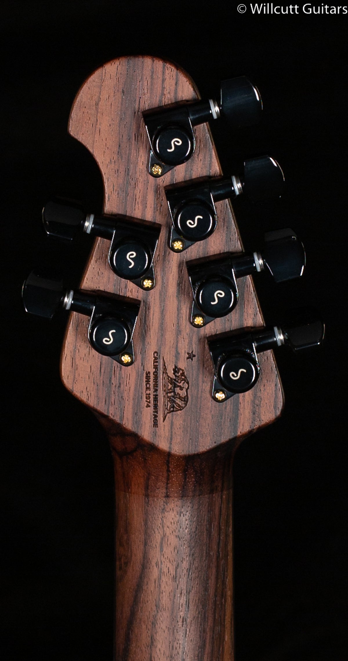 Ernie Ball Music Man Luke III HH Woody Maple Burl (208)