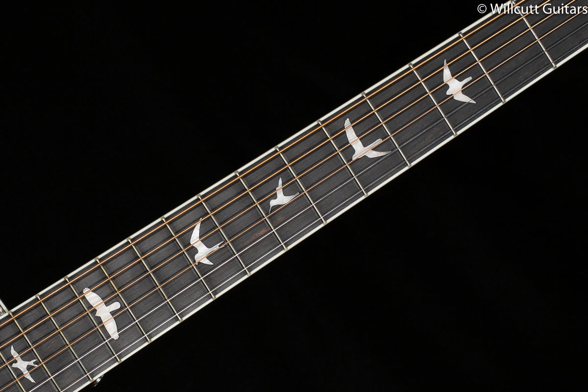 PRS SE P20E Acoustic Parlor Powder Blue