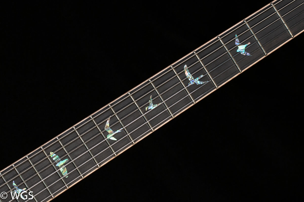 PRS SE Hollowbody II Piezo Black Gold