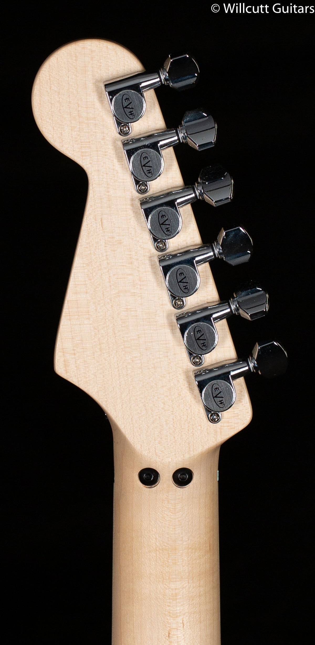 EVH Striped Series White with Black Stripes (621)