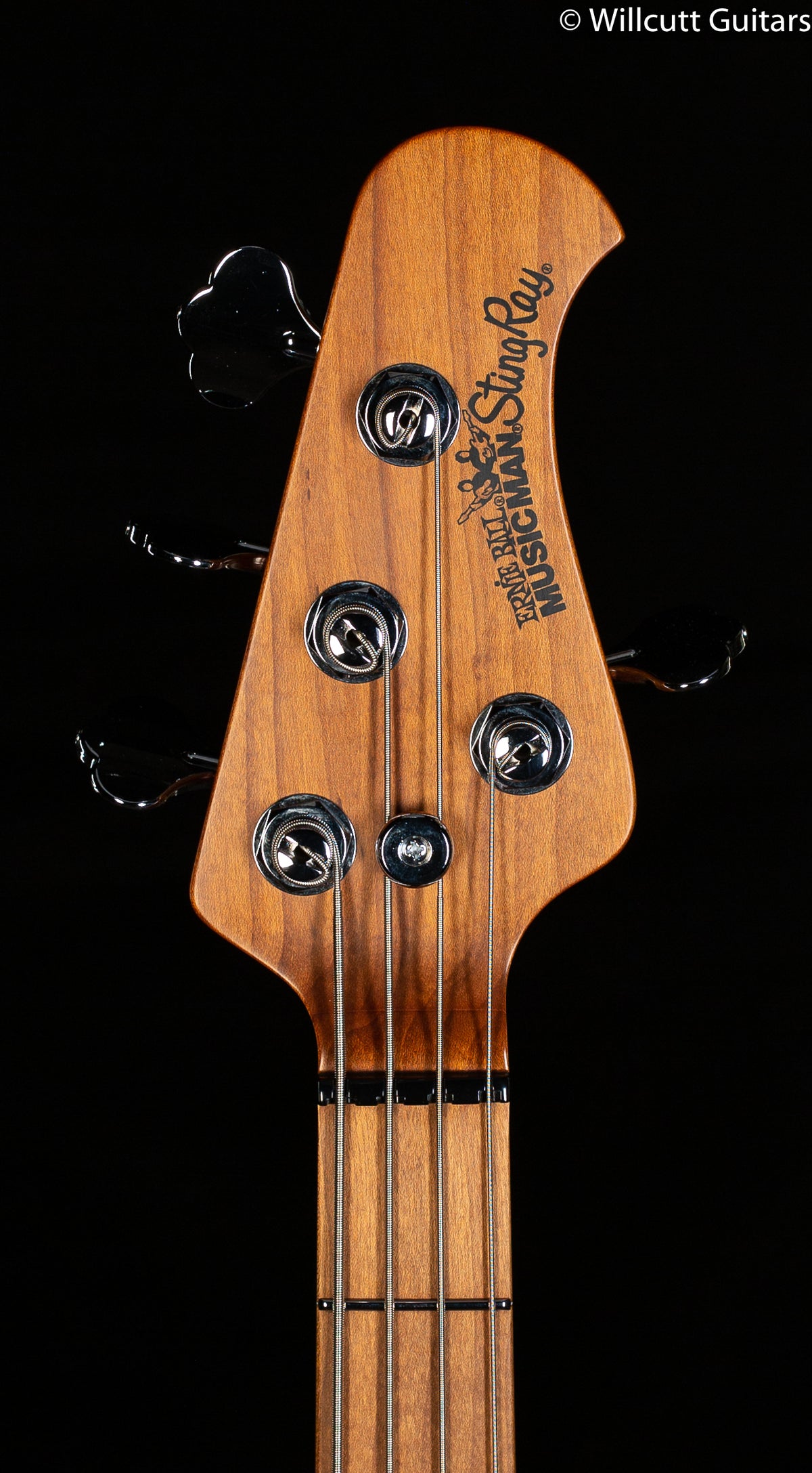Ernie Ball StingRay H 2018 Burnt Apple