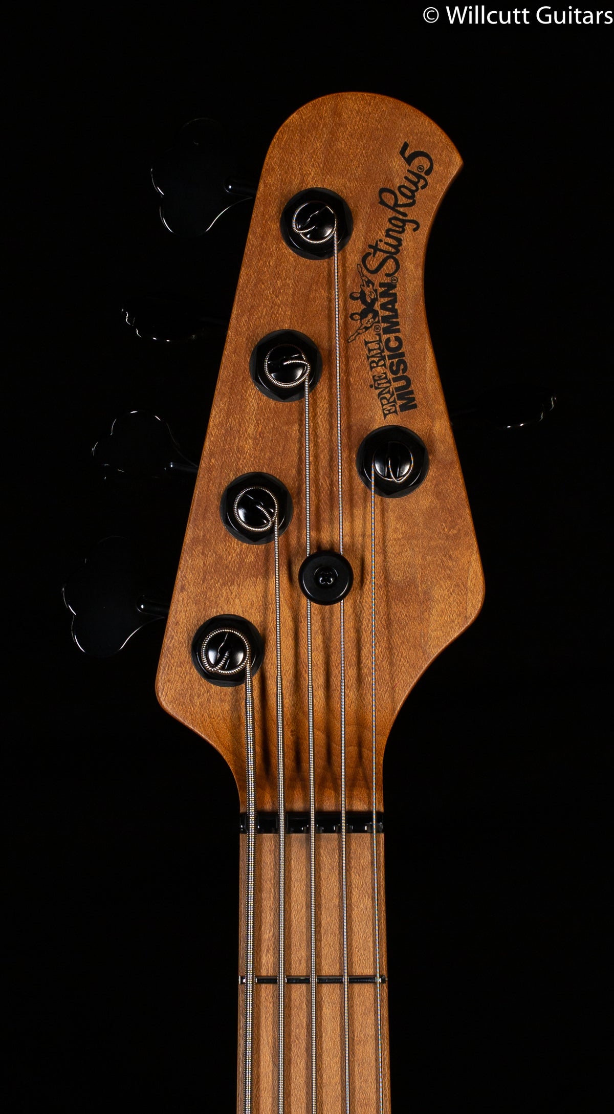 Ernie Ball Music Man Stingray Special 5 HH Black