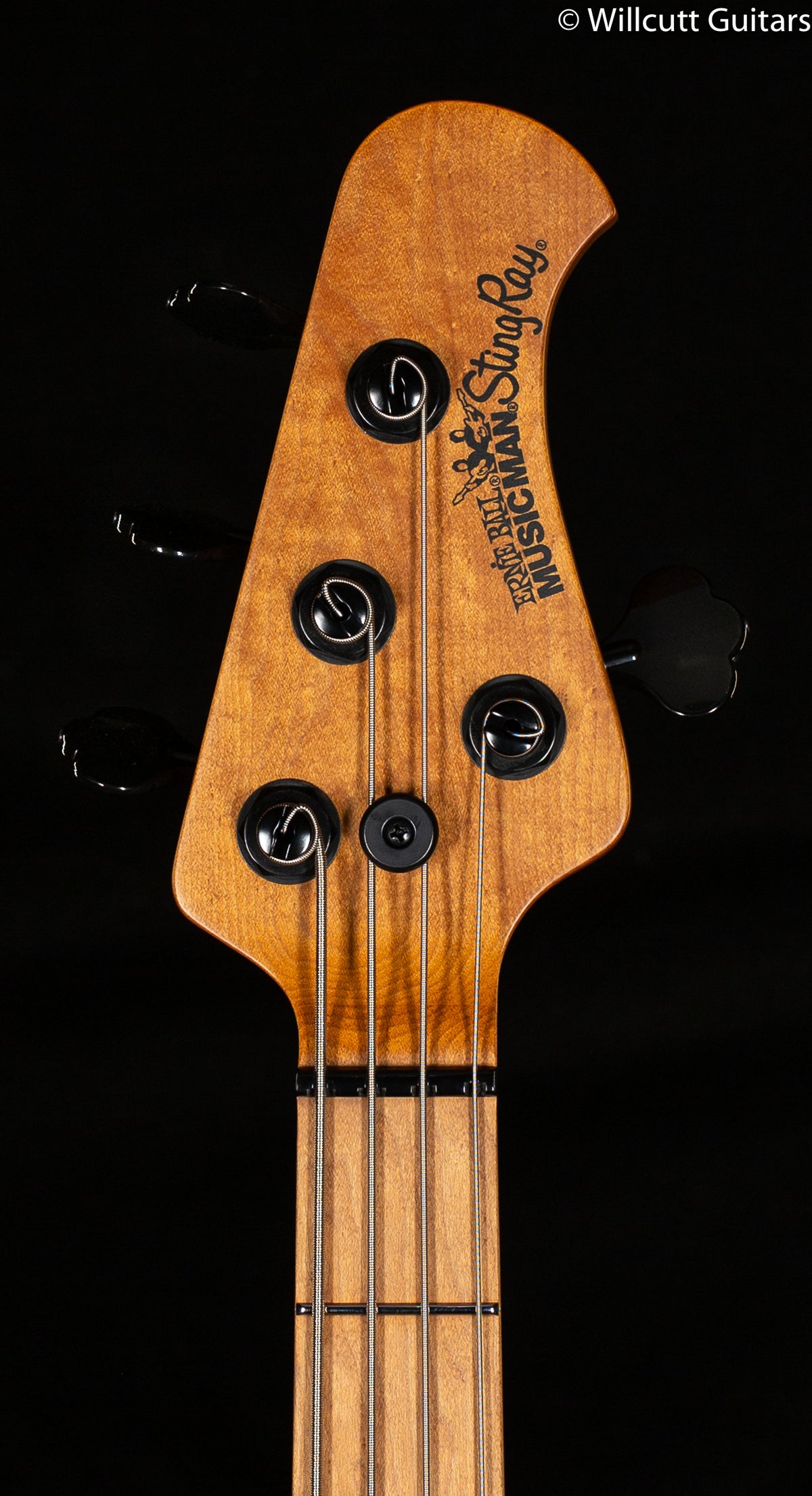 Ernie Ball Music Man Stingray H Black (562)