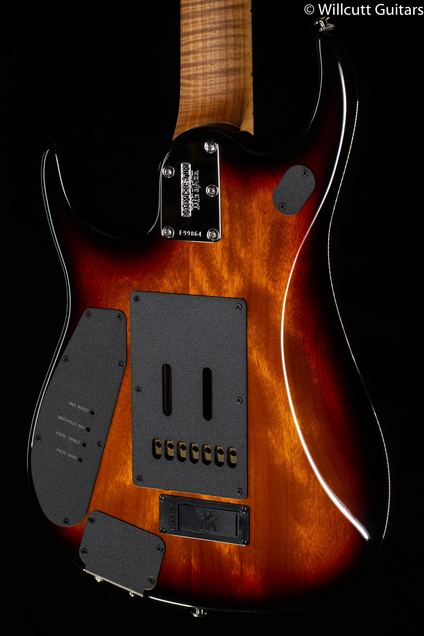 Ernie Ball JP15 7 String Tiger Eye Flame Top (864) - Willcutt Guitars