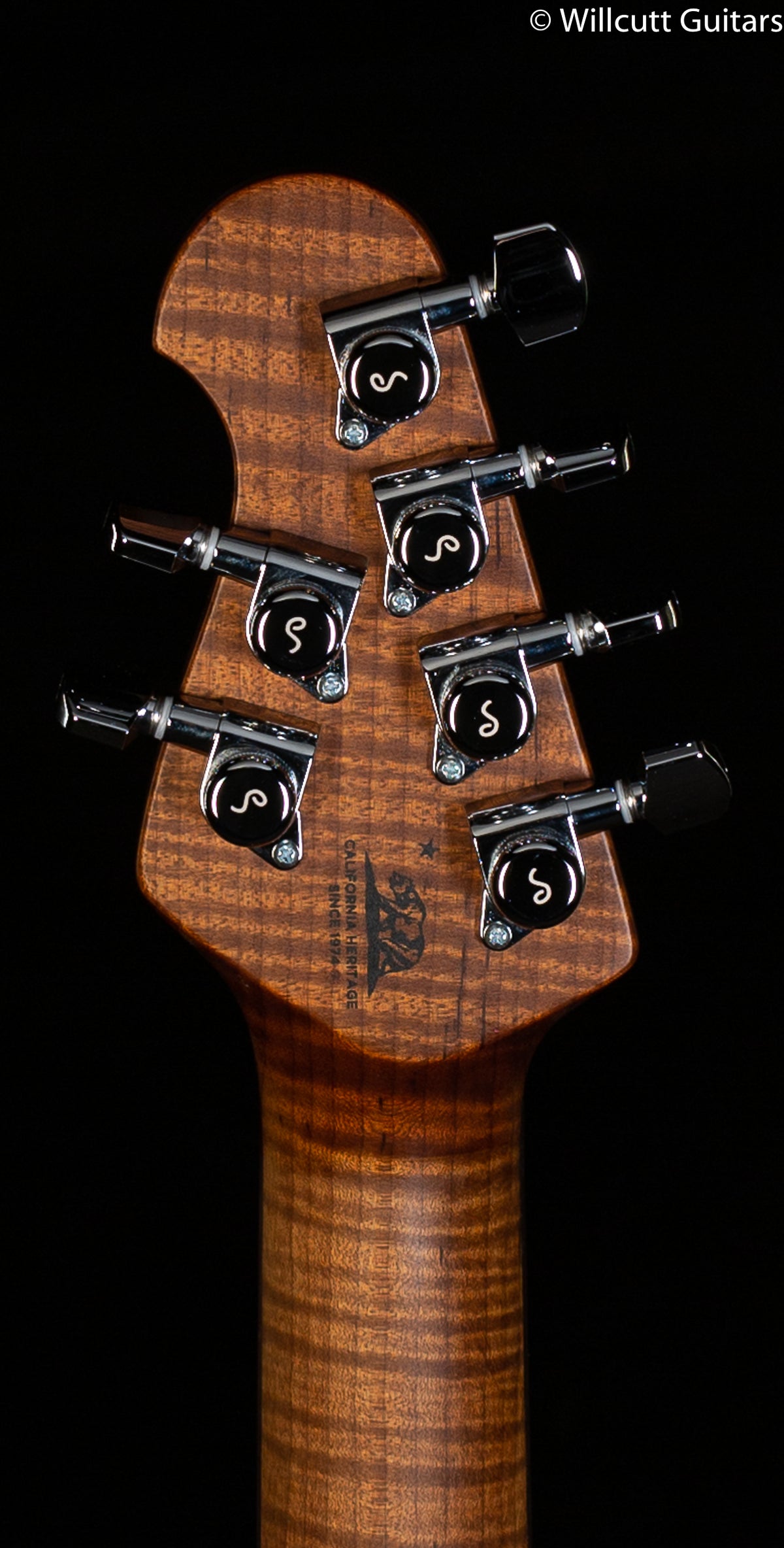 Ernie Ball Music Man Luke III HH Fuschia Sparkle