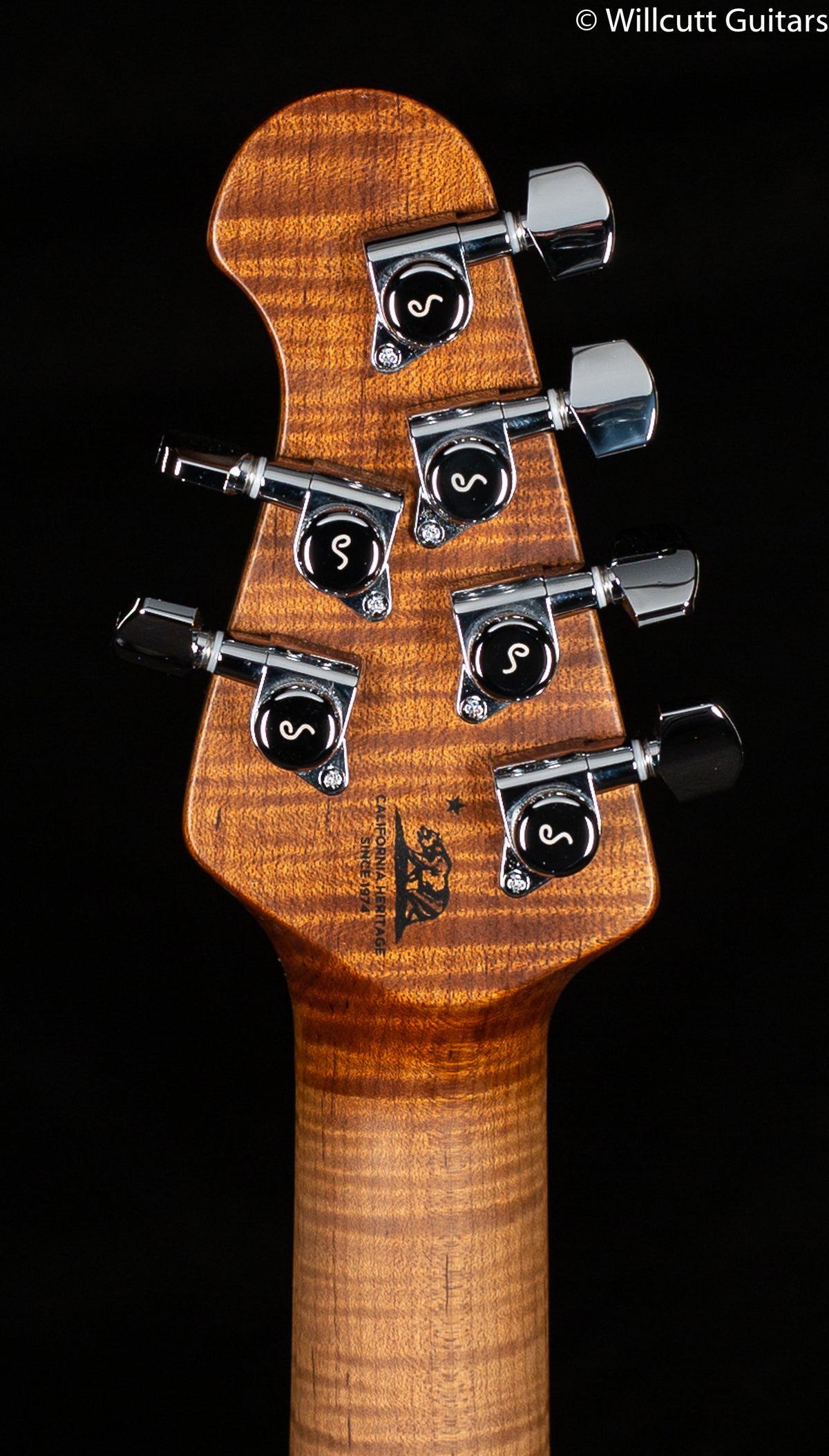 Ernie Ball Music Man Valentine Maroon Sparkle (190)