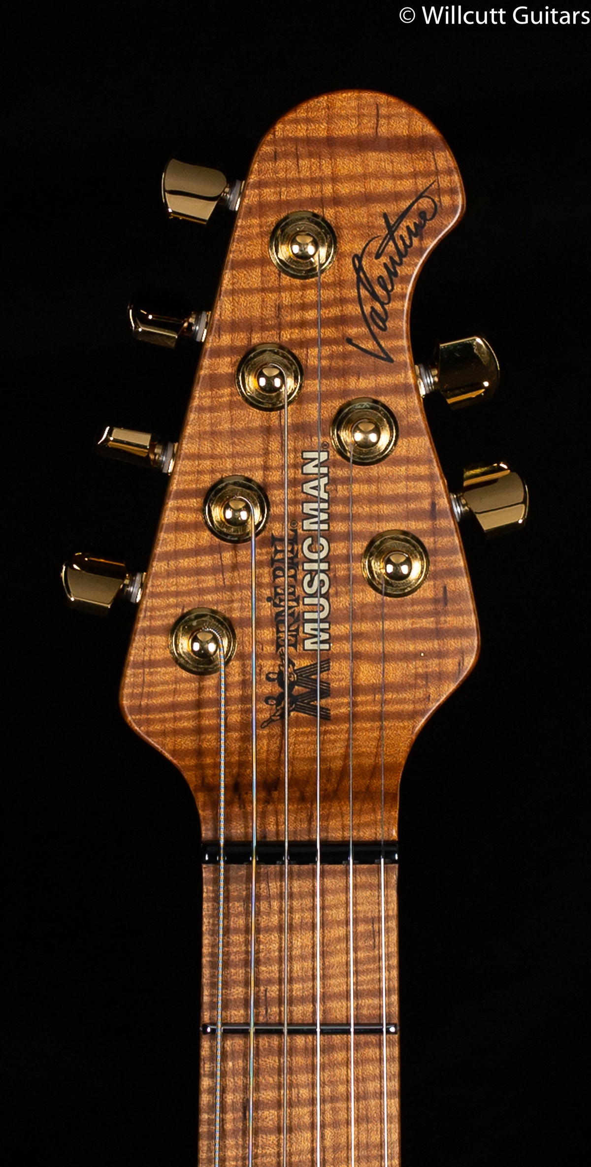 Ernie Ball Music Man Valentine Pink Champagne (188)