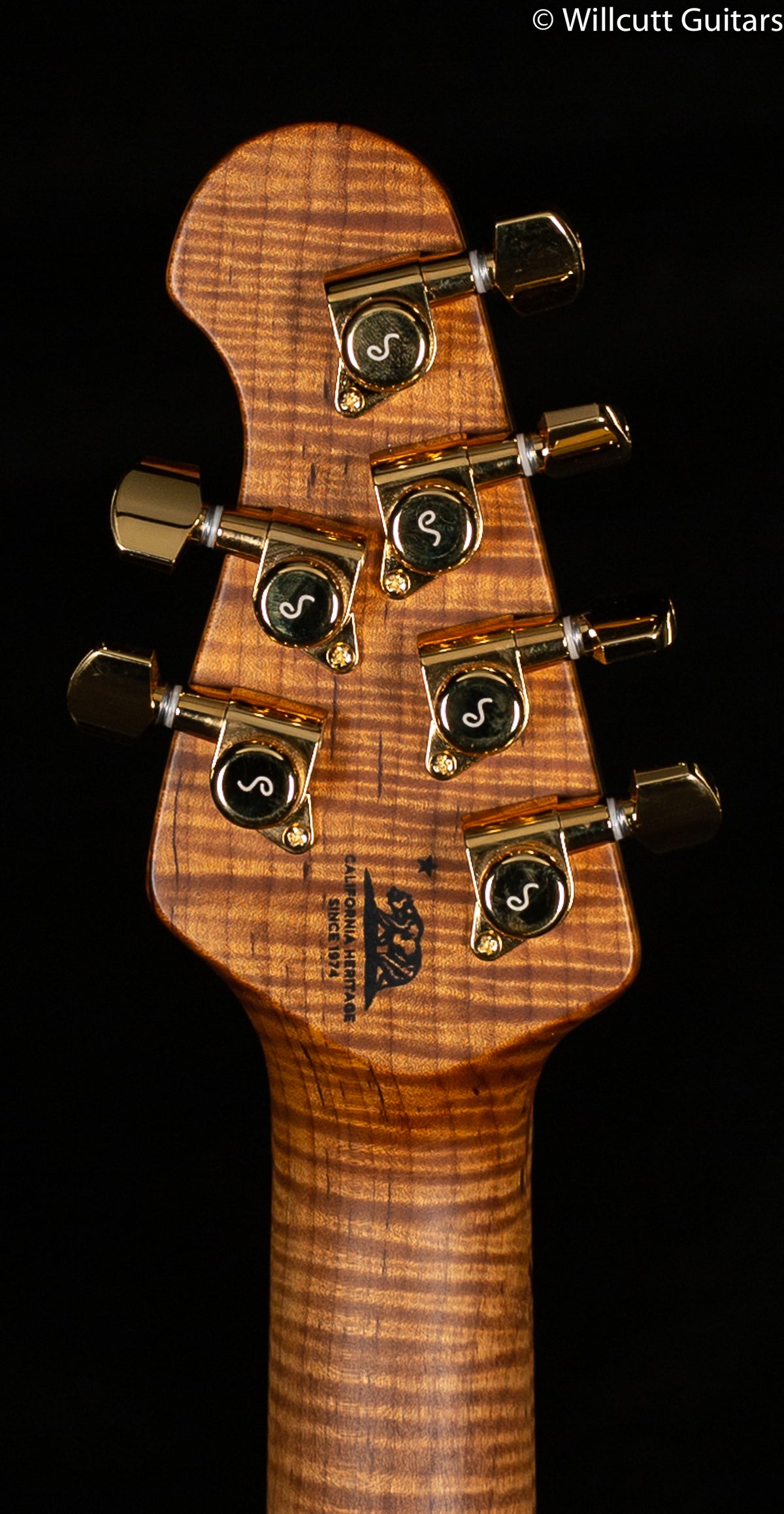 Ernie Ball Music Man Valentine Pink Champagne (188)