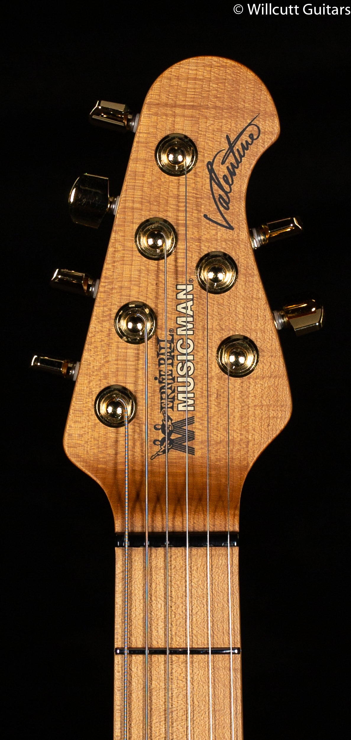 Ernie Ball Music Man Valentine Trem Pink Champagne (751)