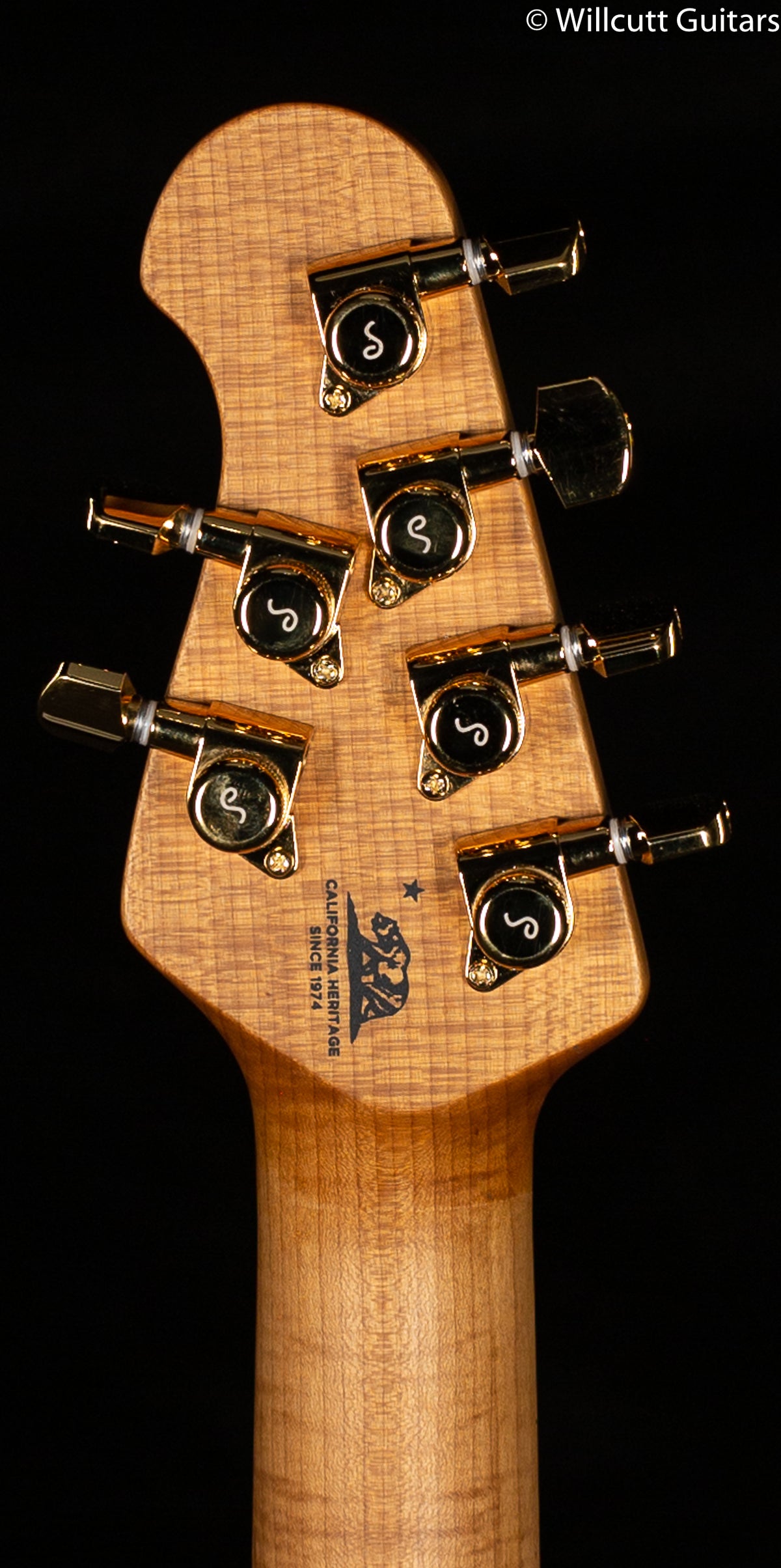 Ernie Ball Music Man Valentine Trem Pink Champagne (751)