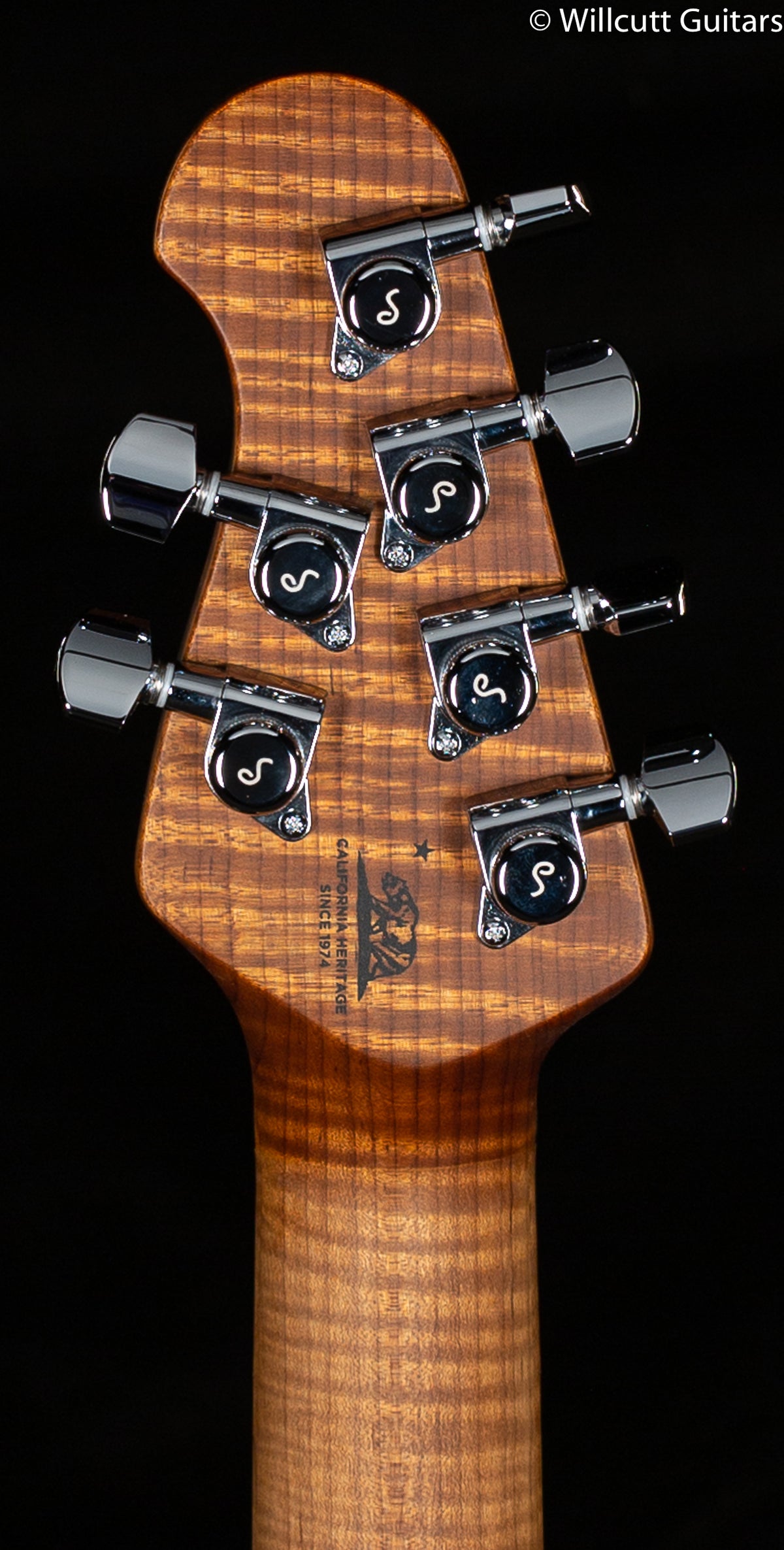 Ernie Ball Music Man Sabre Trem Honeysuckle Flame (160)