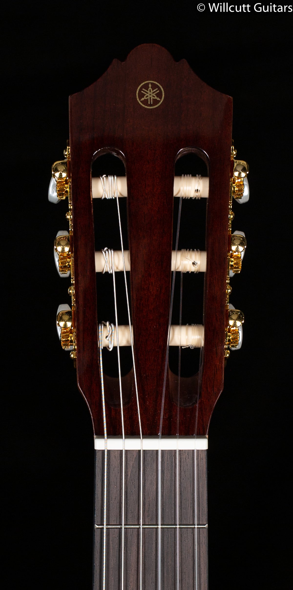 Yamaha CG-TA Transacoustic Nylon (297)