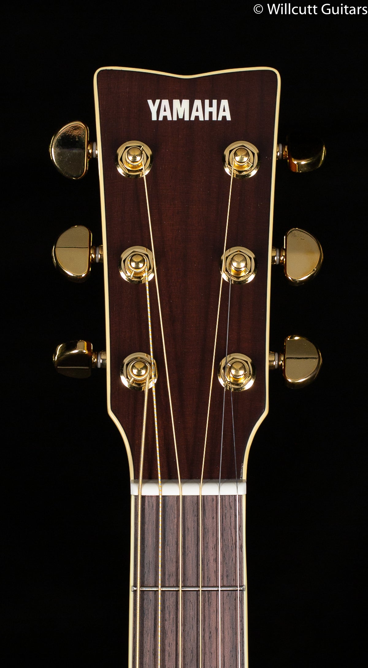 Yamaha L Series LS6 ARE