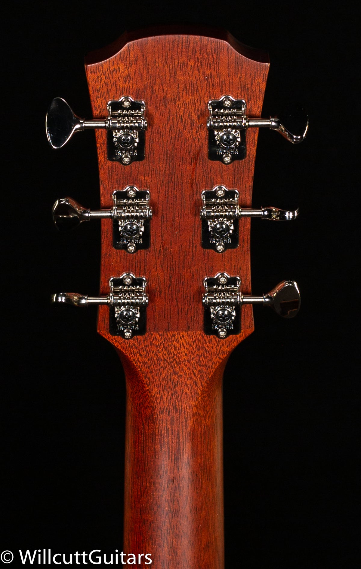 Yamaha AC5RVN Concert Cutaway (12A)