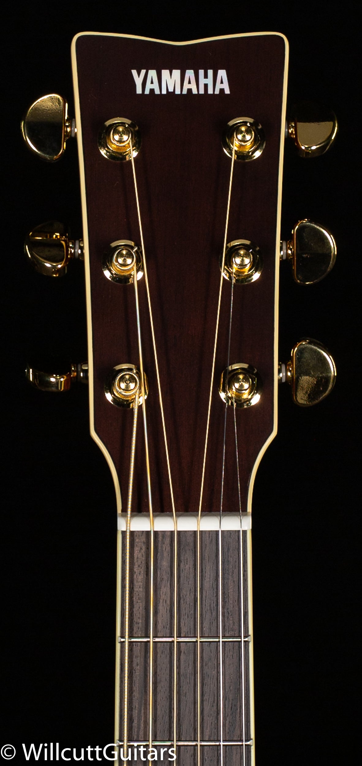 Yamaha LS6 ARE Rosewood (099) - Willcutt Guitars