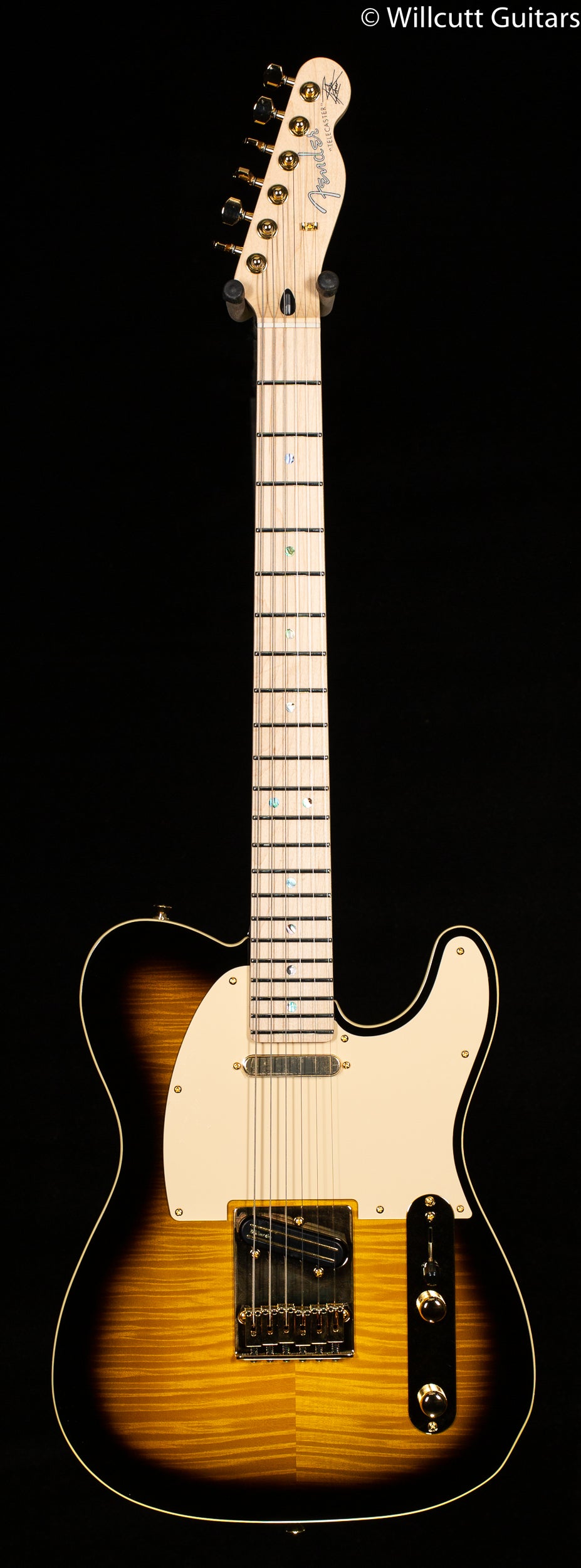 Fender Richie Kotzen Telecaster Brown Sunburst (147)