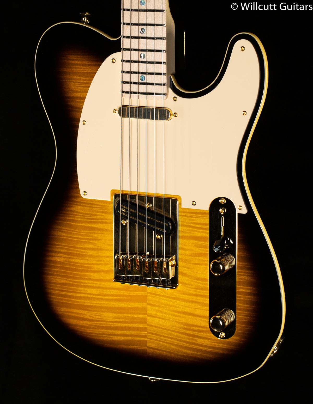 Fender Richie Kotzen Telecaster Brown Sunburst (147)