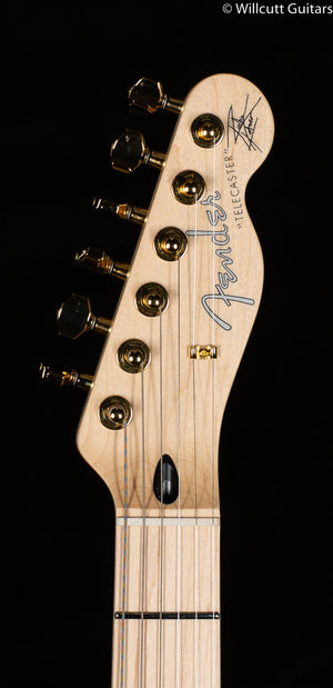 Fender Richie Kotzen Telecaster Brown Sunburst (147)