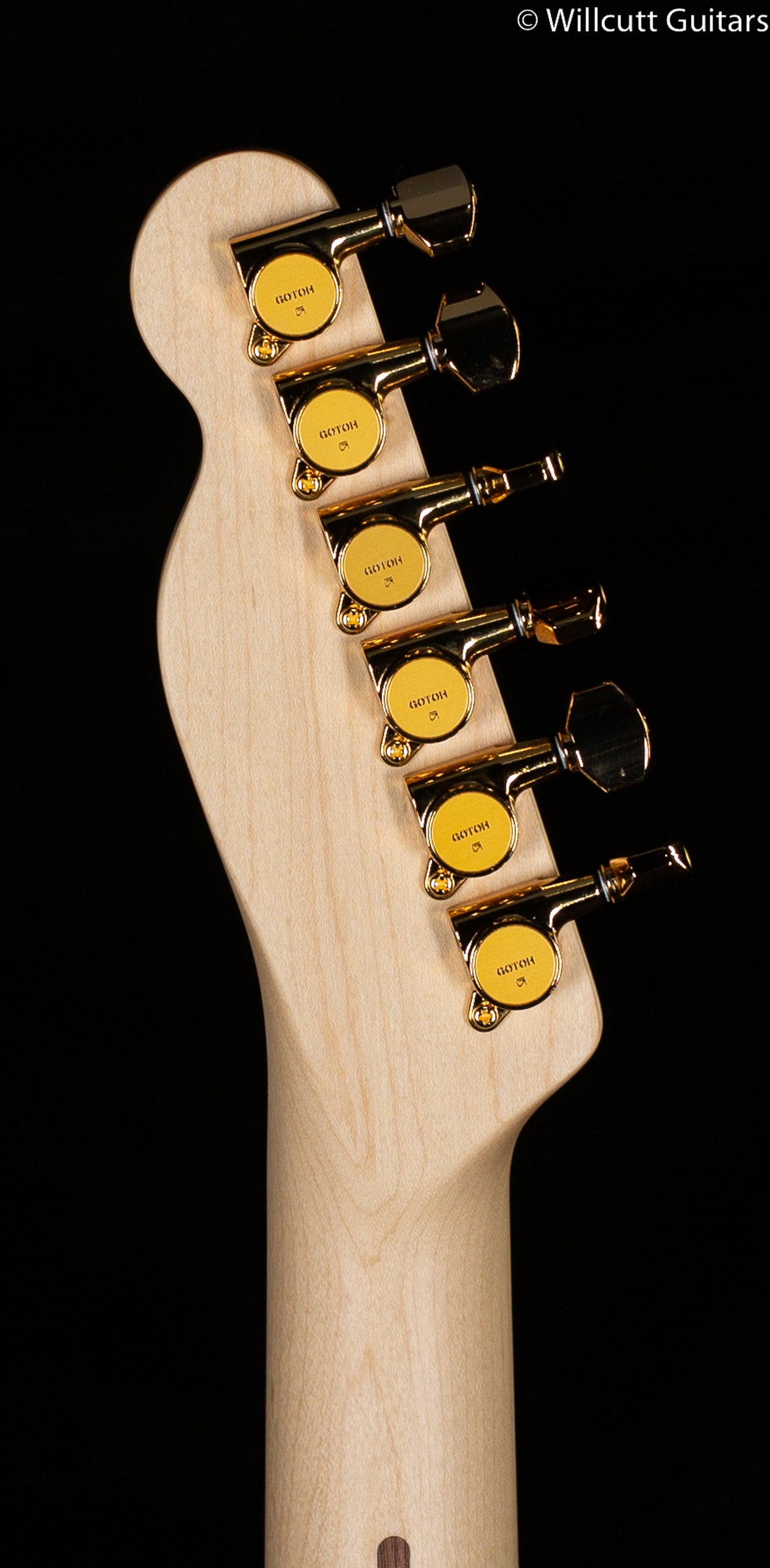 Fender Richie Kotzen Telecaster Brown Sunburst (147)