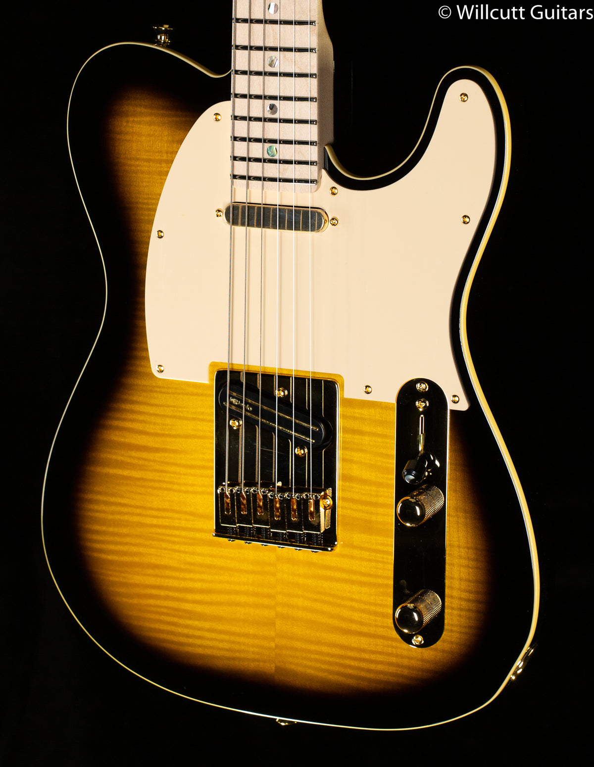 Fender Richie Kotzen Telecaster Brown Sunburst (406)