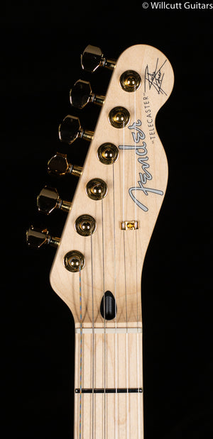 Fender Richie Kotzen Telecaster Brown Sunburst (406)