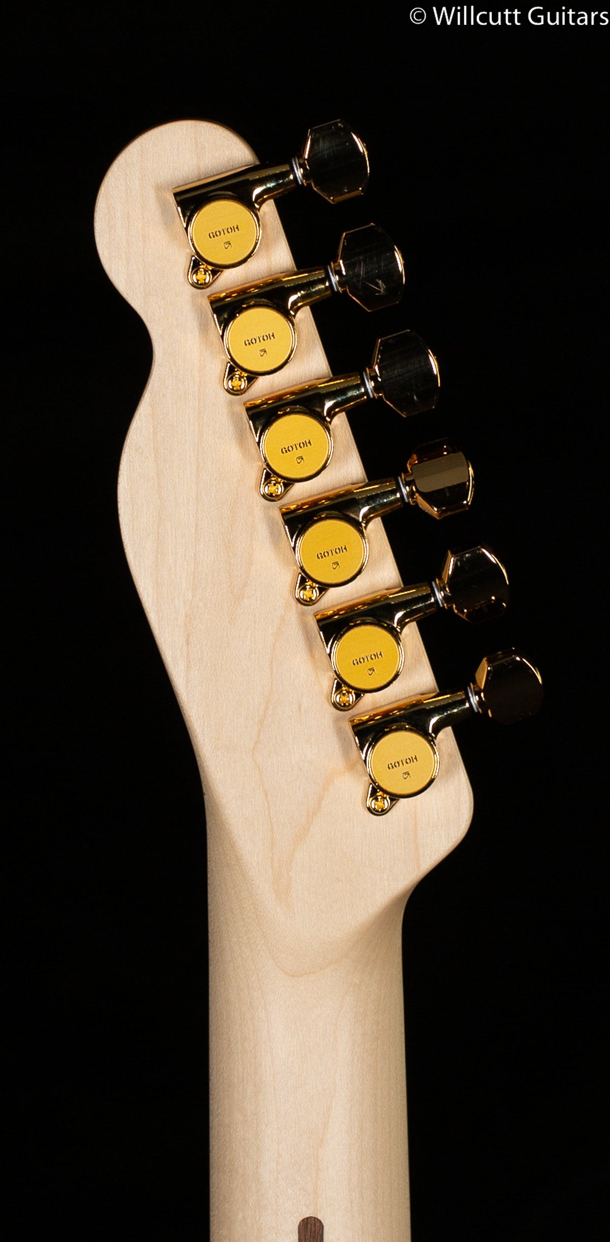 Fender Richie Kotzen Telecaster Brown Sunburst (406)