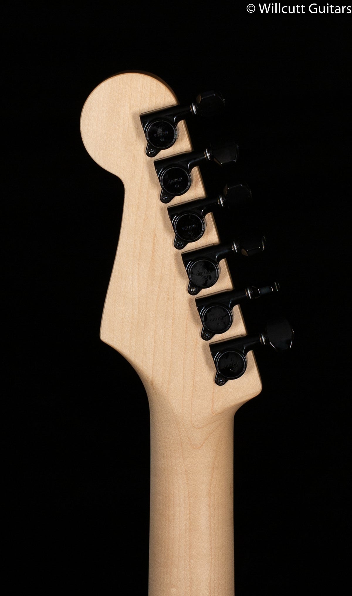 Fender Boxer Series Stratocaster HH Inca Silver Rosewood