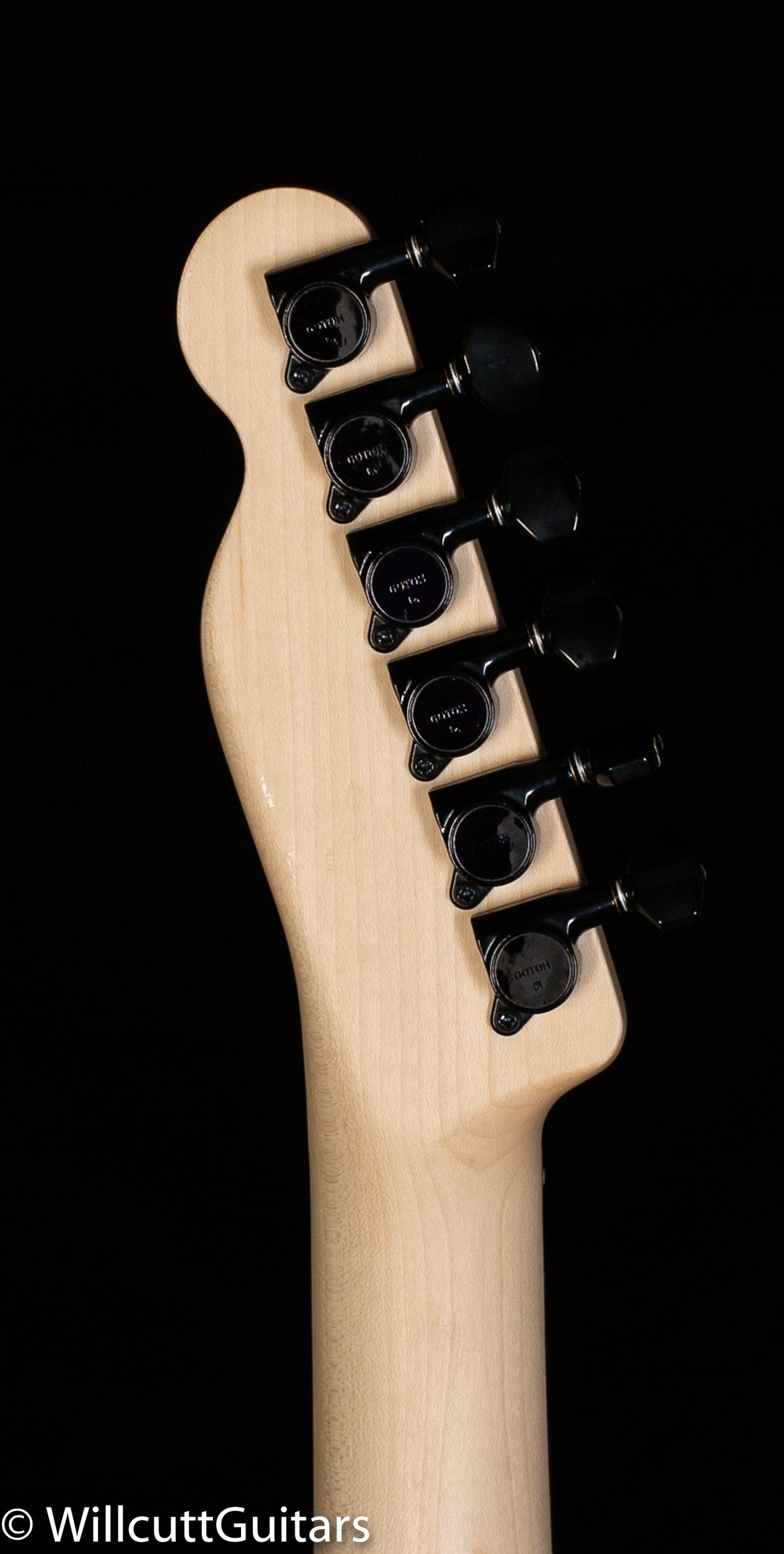 Fender Boxer Series Telecaster HH Rosewood Fingerboard Torino Red (721)